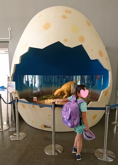 f:id:xiaocaiaya:20190529094845j:plain f:id:xiaocaiaya:20190529094845j:plain