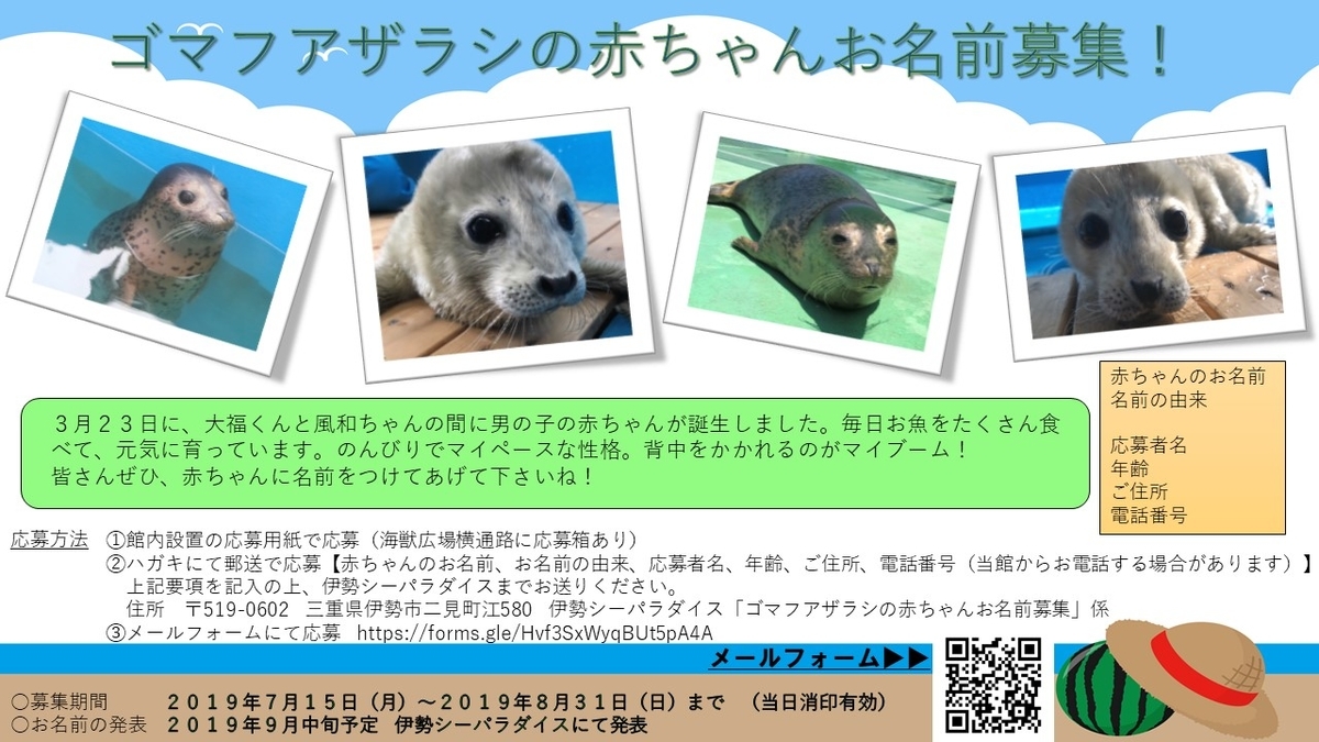 f:id:xiaocaiaya:20190717110039j:plain f:id:xiaocaiaya:20190717110039j:plain