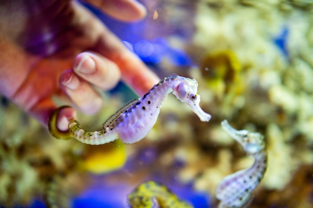 f:id:xiaocaiaya:20190717113631j:plain f:id:xiaocaiaya:20190717113631j:plain