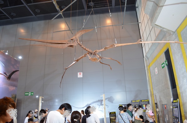 f:id:xiaocaiaya:20190819115537j:plain