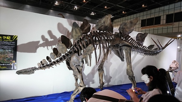f:id:xiaocaiaya:20190819115647j:plain