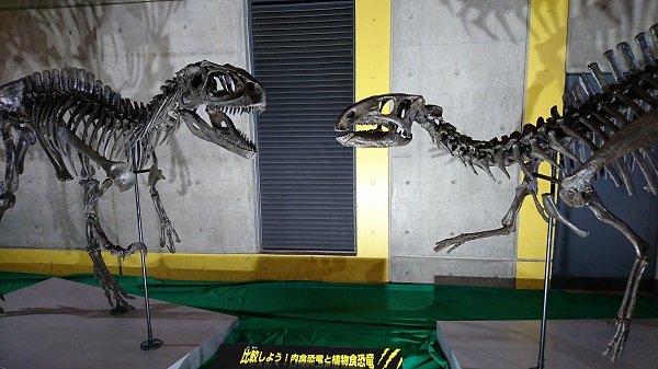f:id:xiaocaiaya:20190819131351j:plain