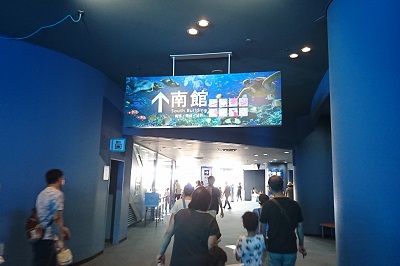 f:id:xiaocaiaya:20190826131633j:plain