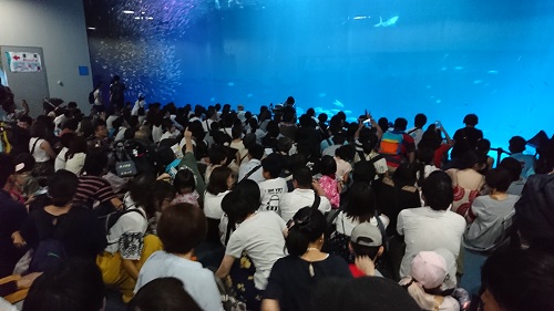 f:id:xiaocaiaya:20190826132918j:plain