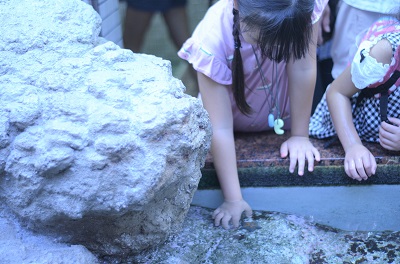 f:id:xiaocaiaya:20190826142002j:plain