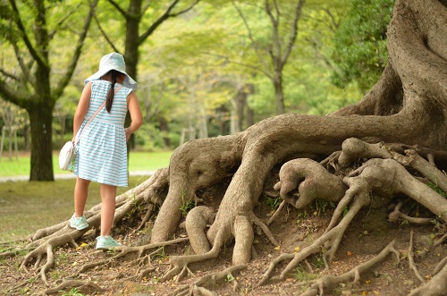 f:id:xiaocaiaya:20190902162458j:plain f:id:xiaocaiaya:20190902162458j:plain