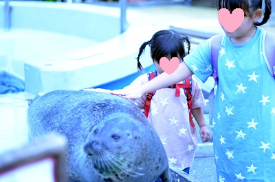 f:id:xiaocaiaya:20190930134722j:plain