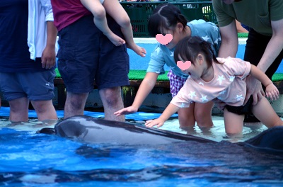 f:id:xiaocaiaya:20191001113920j:plain f:id:xiaocaiaya:20191001113920j:plain