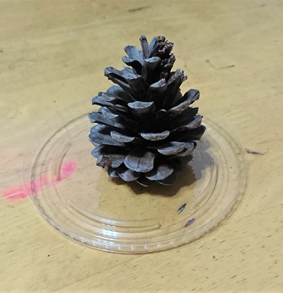 f:id:xiaocaiaya:20191017161125j:plain