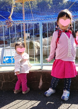 f:id:xiaocaiaya:20191021153640j:plain