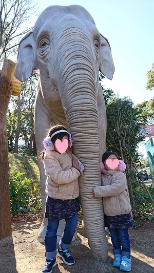 f:id:xiaocaiaya:20191023134924j:plain