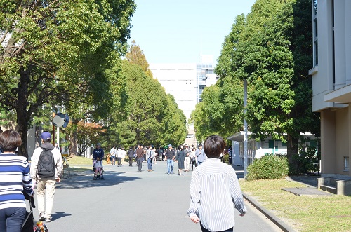 f:id:xiaocaiaya:20191111161011j:plain