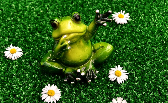 f:id:xiaocaiaya:20191120114501j:plain f:id:xiaocaiaya:20191120114501j:plain