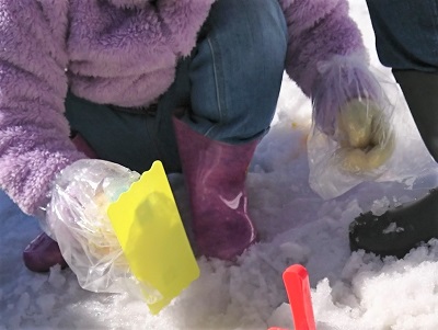 f:id:xiaocaiaya:20200210143051j:plain