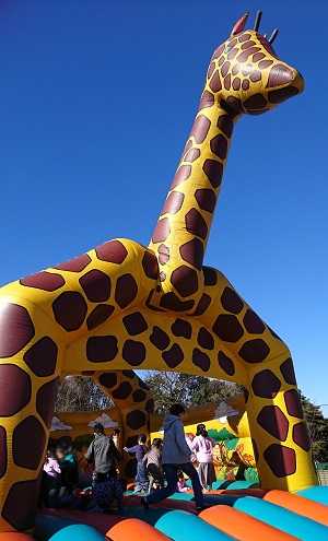 f:id:xiaocaiaya:20200210143146j:plain