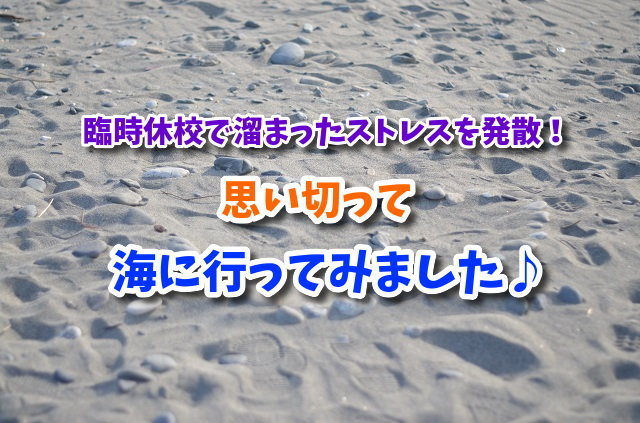 f:id:xiaocaiaya:20200307161018j:plain f:id:xiaocaiaya:20200307161018j:plain