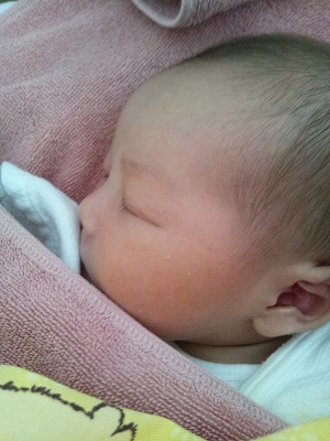 f:id:xiaocaiaya:20200409143607j:plain