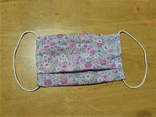 f:id:xiaocaiaya:20200428150349j:plain