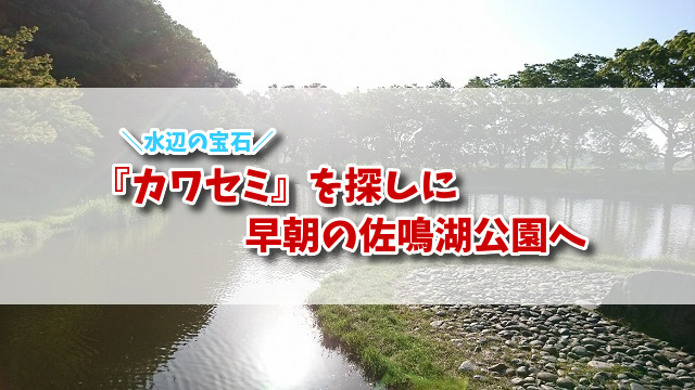 f:id:xiaocaiaya:20200522162933j:plain