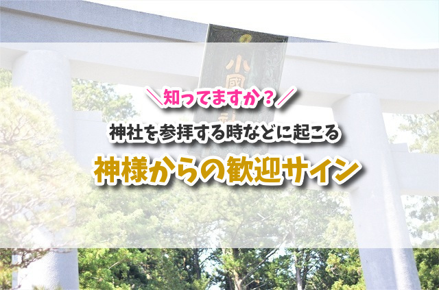 f:id:xiaocaiaya:20200526143927j:plain f:id:xiaocaiaya:20200526143927j:plain