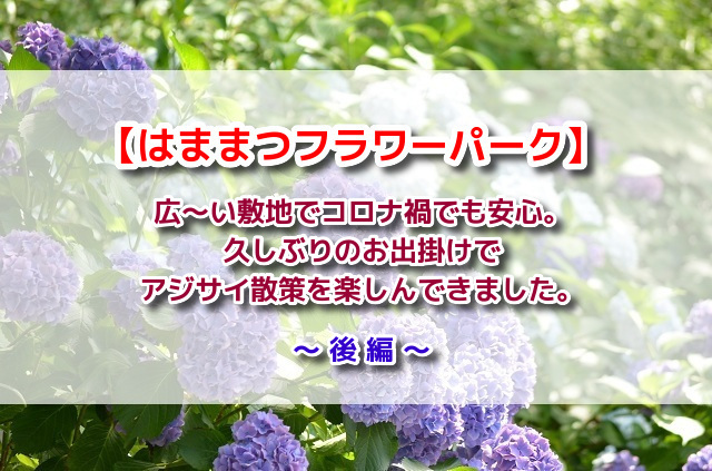 f:id:xiaocaiaya:20210708104953j:plain