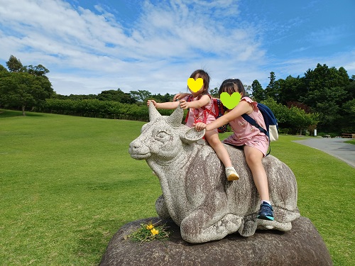 f:id:xiaocaiaya:20210708110234j:plain