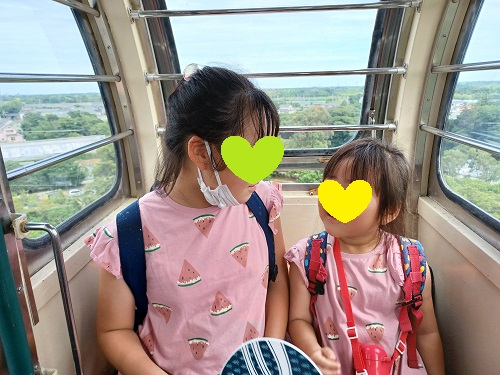 f:id:xiaocaiaya:20210708110258j:plain