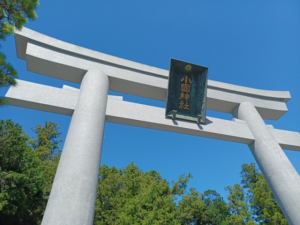 f:id:xiaocaiaya:20210929143521j:plain