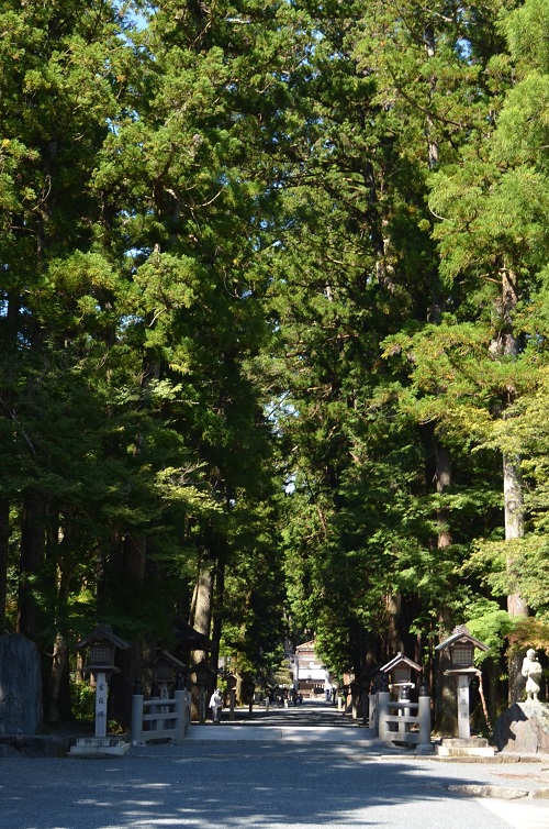 f:id:xiaocaiaya:20210929143831j:plain