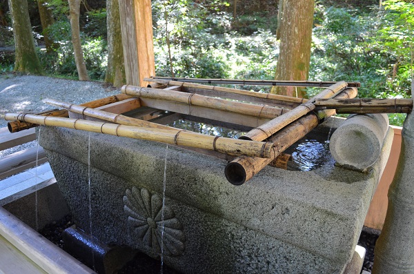 f:id:xiaocaiaya:20210929144113j:plain