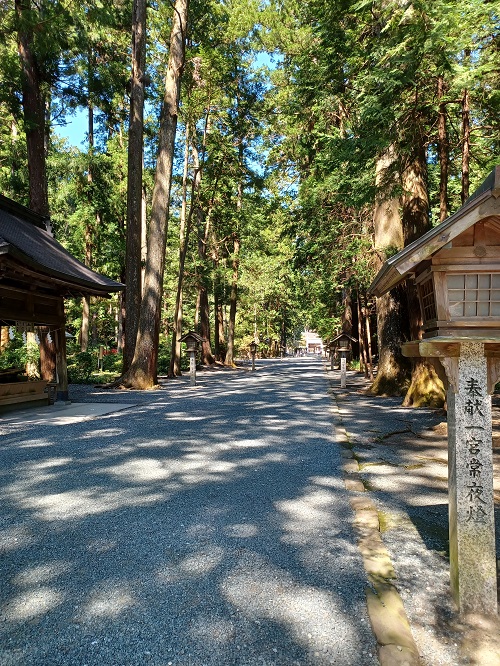 f:id:xiaocaiaya:20210929144220j:plain