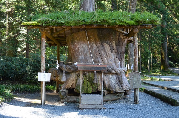 f:id:xiaocaiaya:20210929144621j:plain