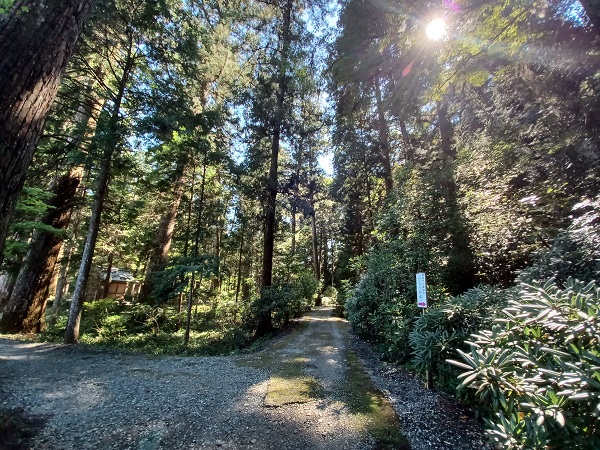 f:id:xiaocaiaya:20210929144936j:plain