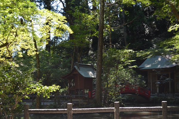 f:id:xiaocaiaya:20210929144945j:plain