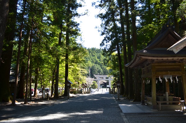 f:id:xiaocaiaya:20210929144959j:plain