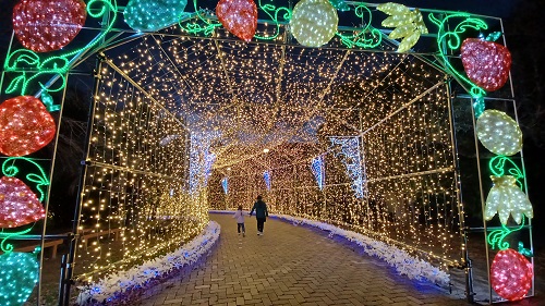 f:id:xiaocaiaya:20211223110744j:plain