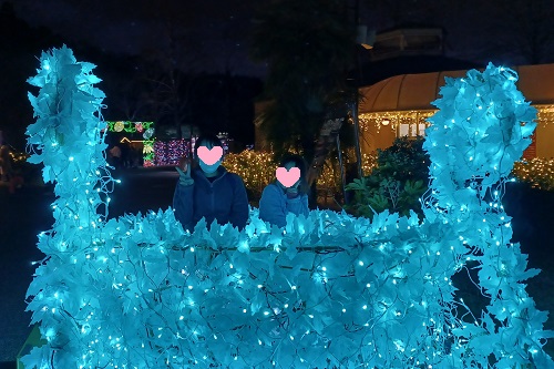 f:id:xiaocaiaya:20211223110848j:plain
