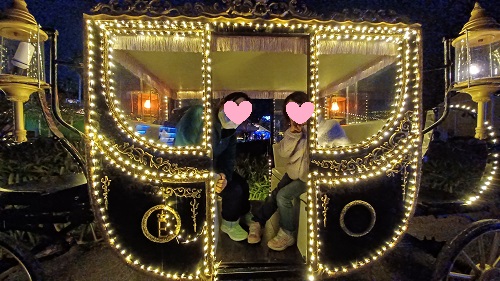 f:id:xiaocaiaya:20211223110859j:plain