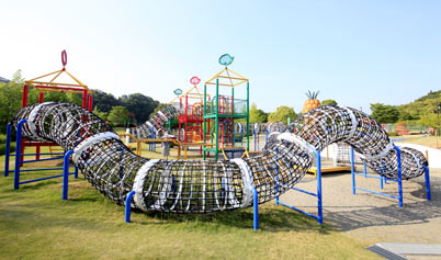 f:id:xiaocaiaya:20211223115054j:plain