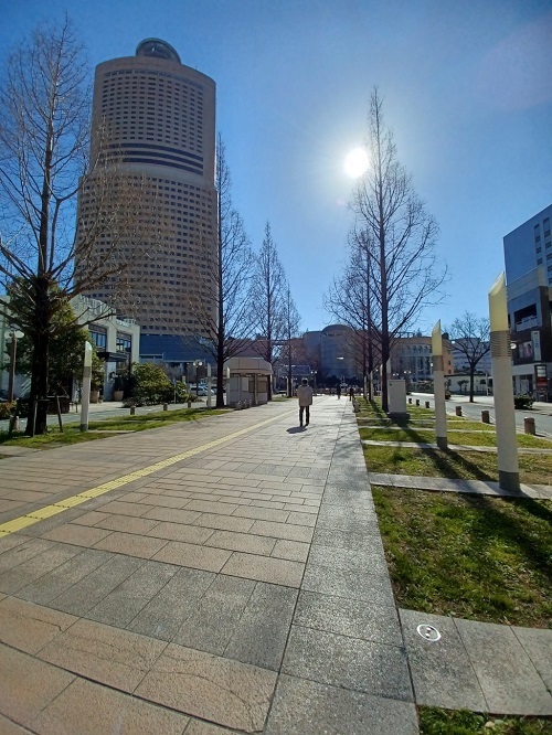 f:id:xiaocaiaya:20220203103818j:plain