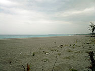 f:id:xiaogang:20080130235117j:image