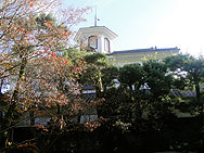 [伊豆][修善寺]