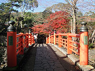 [伊豆][修善寺]