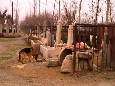f:id:xiaojun:20090217140252j:image