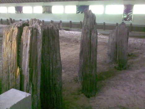 f:id:xiaojun:20090629093403j:image