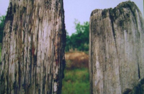 f:id:xiaojun:20090629093415j:image