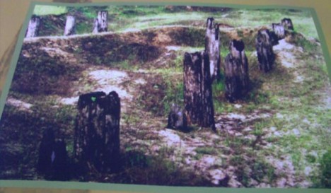 f:id:xiaojun:20090629093416j:image