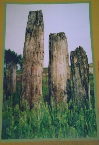 f:id:xiaojun:20090629093417j:image