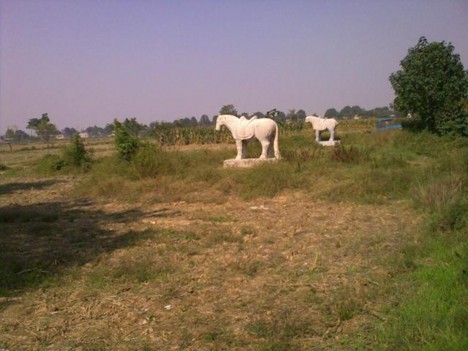f:id:xiaojun:20091015220626j:image