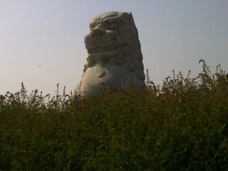 f:id:xiaojun:20091015220628j:image